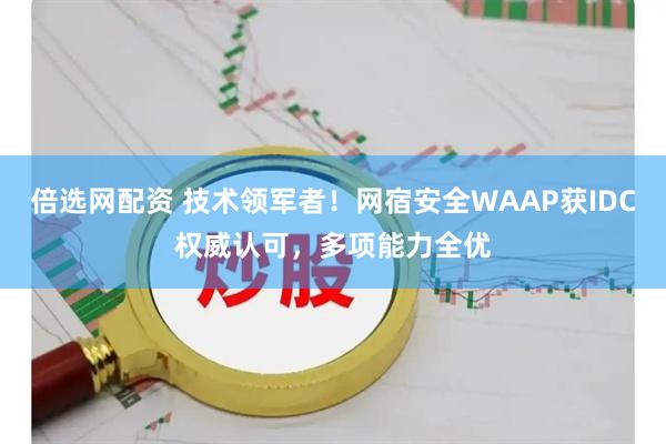 倍选网配资 技术领军者！网宿安全WAAP获IDC权威认可，多项能力全优